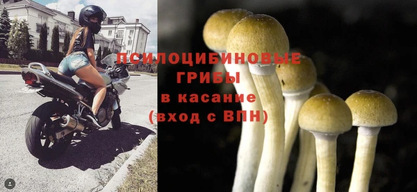 не бодяженный Алексин